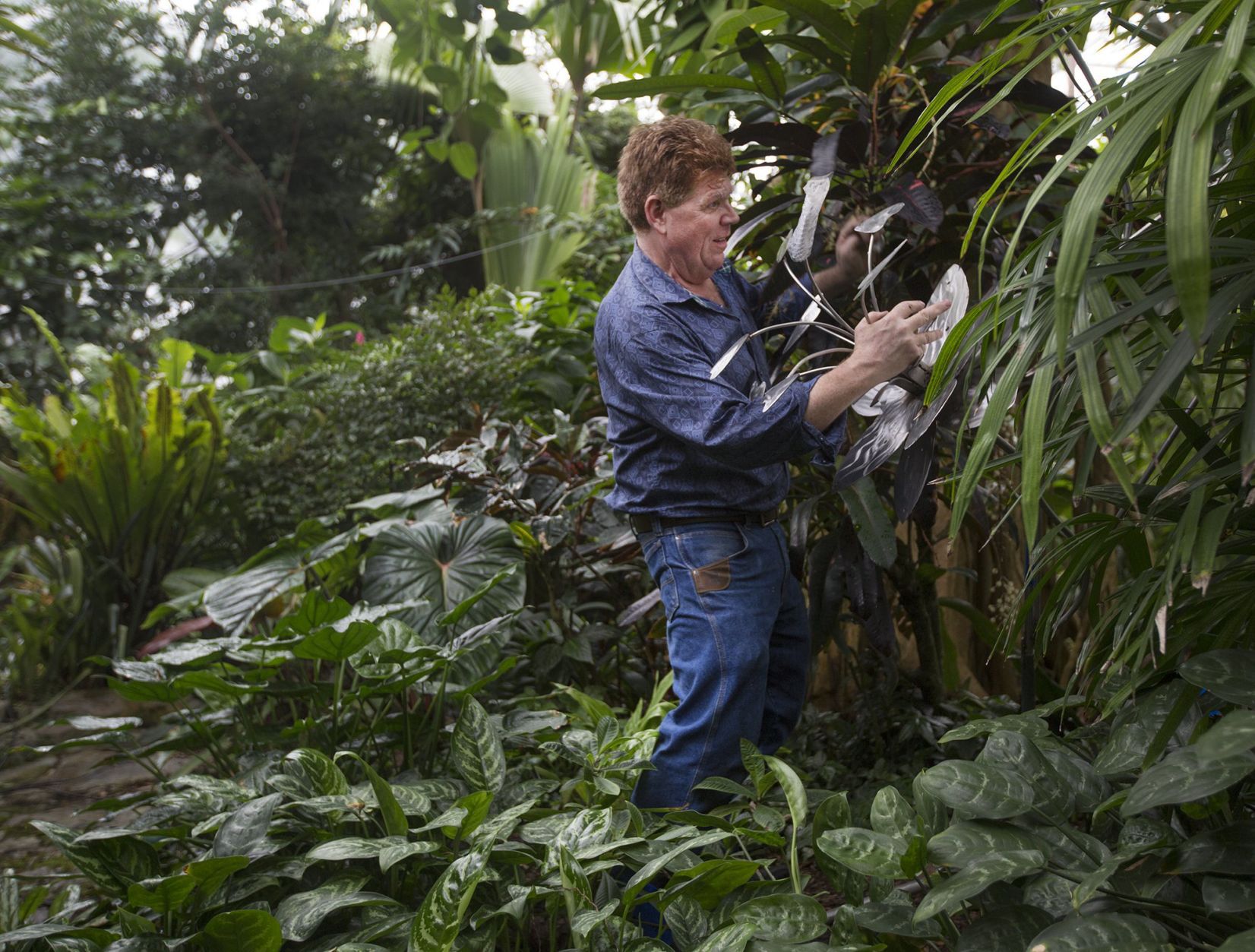 Glass exhibit opens at Missouri Botanical Garden
